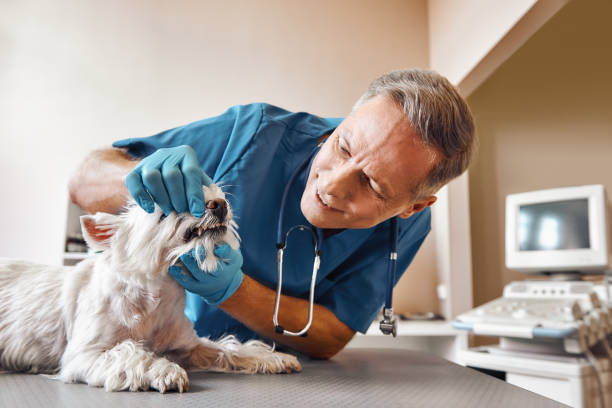 Best Walk-In Emergency Dental Services in Richwood, LA